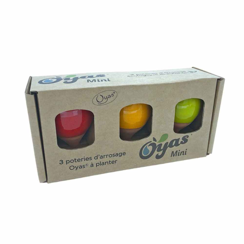 OYAS A PLANTER MINI COULEURS X3